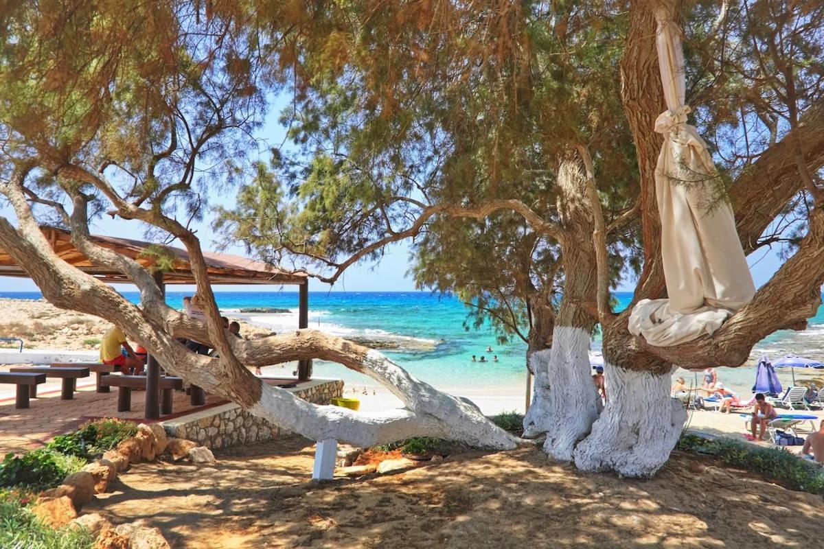 Beachfront Luxury Villa Idania Ajia Napa Zewnętrze zdjęcie